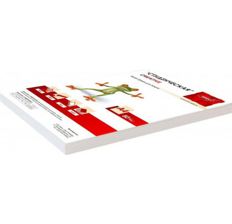 WHITE 100 Бумага A4/80г/м2/100л./белый матовое общего назначения(офисная) Creative - valday-experts.ru – фото 1